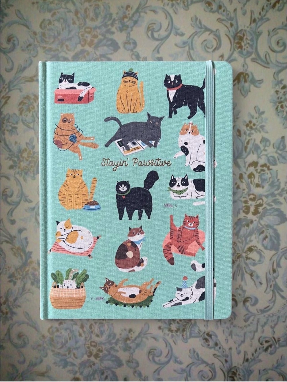 Cat Journal Notebook Cats Stayin’ Pawsitive with illustrated cats